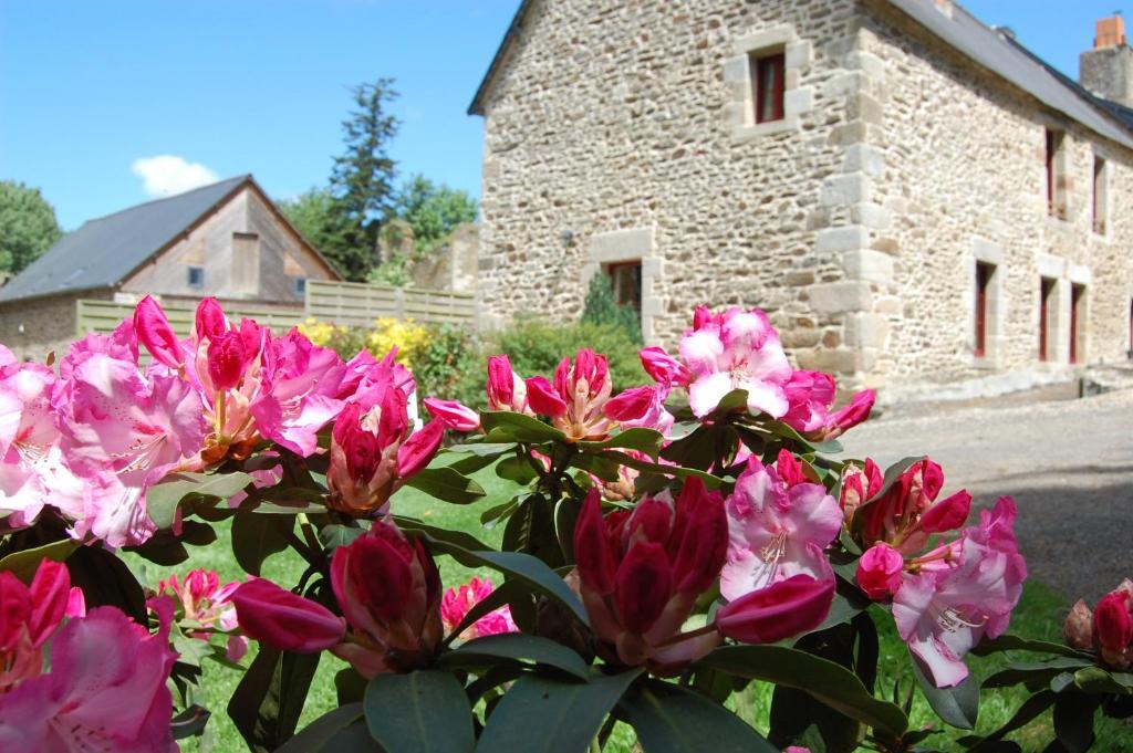 Maison D'Hotes & Gites Domaine De La Garaye Dinan Exterior foto